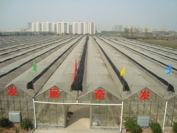 连栋温室大棚有哪些优势