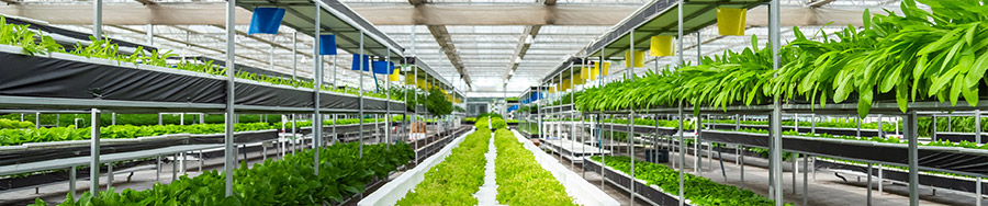 邹城市不朽情缘官网登录入口智智能温室技术有限公司