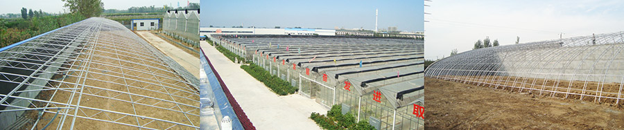 邹城市不朽情缘官网登录入口智智能温室技术有限公司