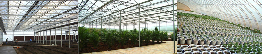 邹城市不朽情缘官网登录入口智智能温室技术有限公司