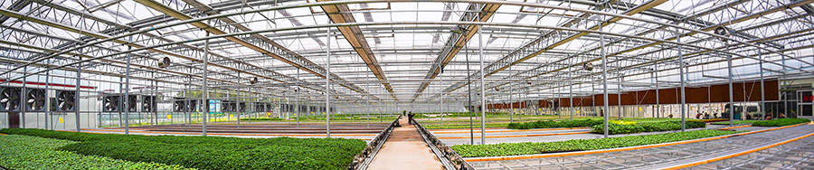 邹城市不朽情缘官网登录入口智智能温室技术有限公司